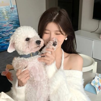 铁面战警
